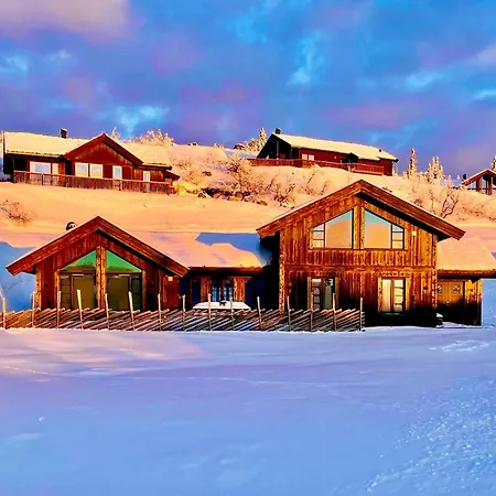 Modern At Hogevarde Panoramic View, Fireplace And Ev Station Granheim (Fla)